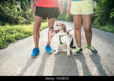 Unrecognizable senior runners with dog outside in sunny nature Stock Photo
