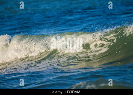 A powerful wave breaking near the shore in Cape-Code. Stock Photo