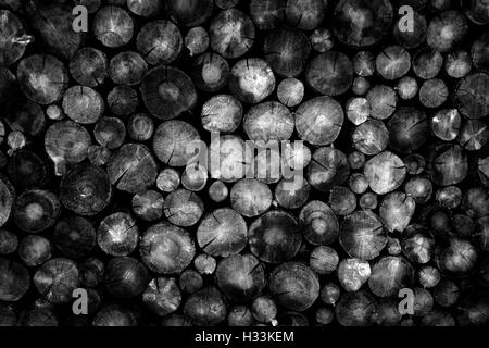 Stack of pine logs in fire pile for burning in fire place Stock Photo