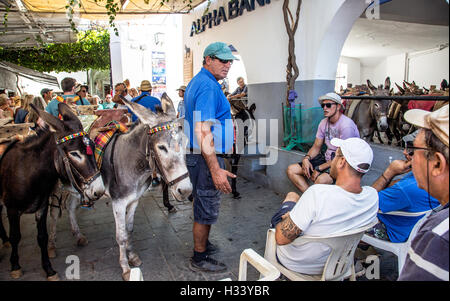 Donkey Men Lindos Rhodes Greece Stock Photo