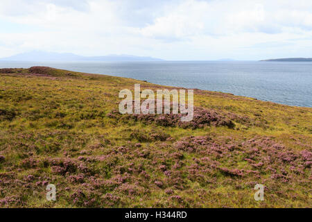 Rural scottish panorama. Erica arborea  meadows. Travel destinations Stock Photo