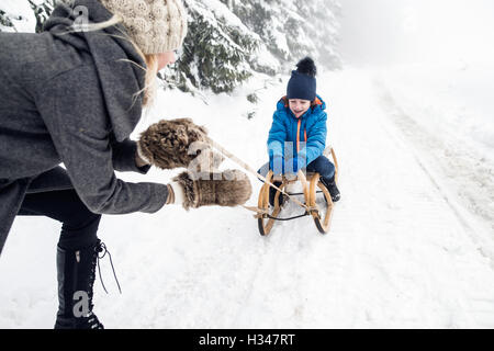 Mother pulling son on sledge. Foggy white winter nature. Stock Photo