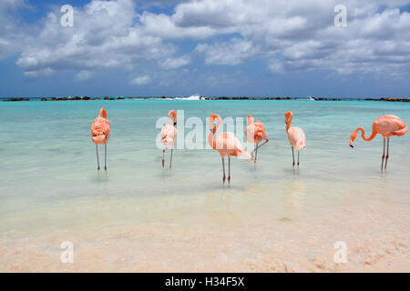 Renaissance Island - Aruba Stock Photo - Alamy