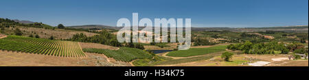 Almenkerk Wine Estate and Vineyards, Elgin Valley, South Africa Stock Photo