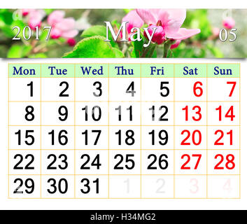 calendar for May 2017 with ribbon of blooming apple tree flowers Stock Photo