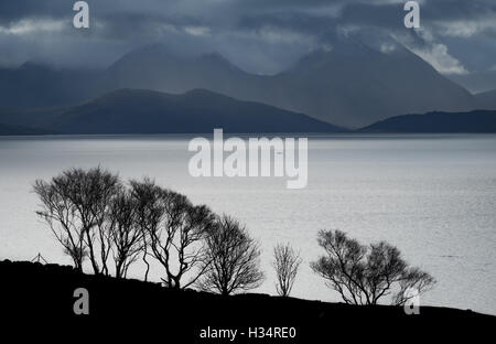 Silhouetted trees on the Applecross peninsular with the Inner Sound and the Isle of Skye in the background Stock Photo