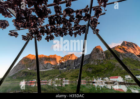 Midnight sun on dried fish framed by fishing village and peaks, Reine, Nordland county, Lofoten Islands, Arctic, Norway Stock Photo