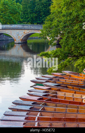 Punts on the River Cam, The Backs, Cambridge, Cambridgeshire, England, UK Stock Photo