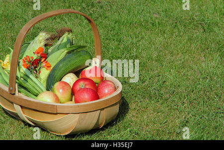 A trug filled with freshly picked vegetables and apples in an English garden on a sunny day in late summer Stock Photo
