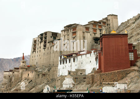 Palace in Leh with LAMO house below. Ladakh, India Stock Photo