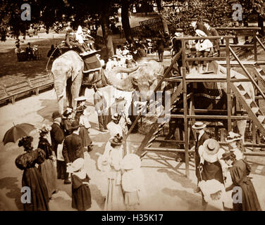 Elephant ride at the Zoo Victorian period Stock Photo - Alamy