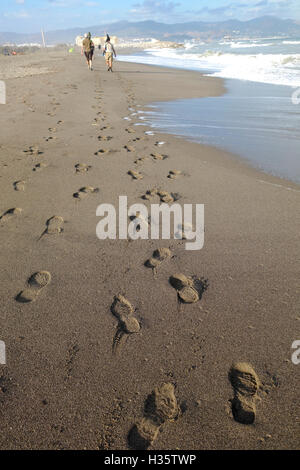 Birdwatchers leaving footprints, walking over beach, Guadalhorce Natural Park, Malaga. Andalusia, Spain. Stock Photo