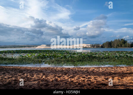 Lake lotus and White Sand Dunes Mui Ne Vietnam Stock Photo
