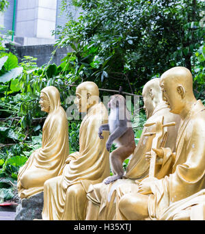 Wild rhesus macaque among statues at 10,000 Buddhas Monastery in Hong Kong Stock Photo