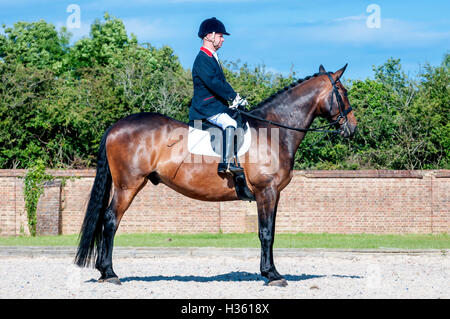 Lee Pearson, paralympian dressage competitor, on his horse, Gentleman, at Hickstead Showground in West Sussex. Stock Photo