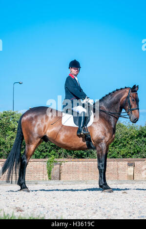 Lee Pearson, paralympian dressage competitor, on his horse, Gentleman, at Hickstead Showground in West Sussex. Stock Photo