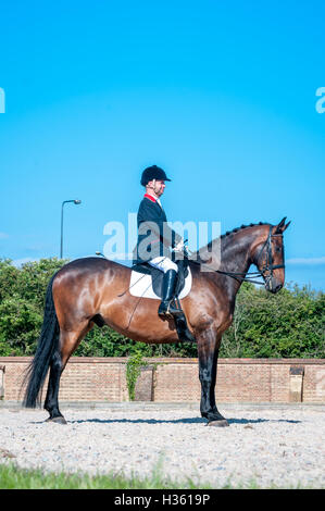 Lee Pearson, paralympian dressage competitor, on his horse, Gentleman, at Hickstead Showground in West Sussex. Stock Photo