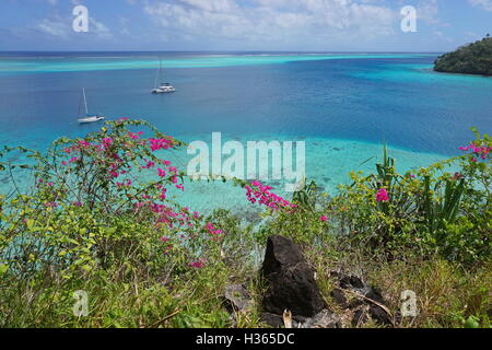 High view of tropical lagoon with two boats anchored and bougainvillea in foreground, Pacific ocean, Huahine, French Polynesia Stock Photo