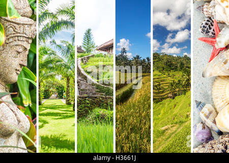 Narrow strips of images from Bali, Indonesia forming collage with white separating lines Stock Photo