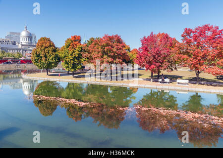 Maple trees in autumn colors in Montreal Old Port, with Bonsecours Market in background in October 2016 Stock Photo