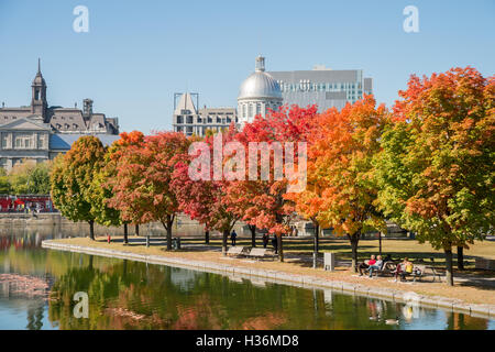 Montreal, CA - 4 October 2016: Maple trees in autumn colors in Montreal Old Port, with Bonsecours Market in background Stock Photo