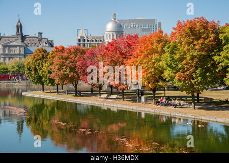 Montreal, CA - 4 October 2016: Maple trees in autumn colors in Montreal Old Port, with Bonsecours Market in background Stock Photo