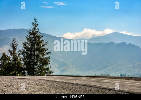 old asphalt road going through the hillside and passes green spruce forest Stock Photo