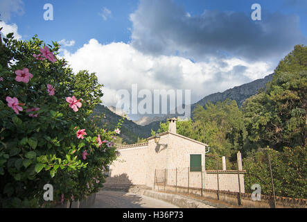 Pink hibiscus flowers and stone building detail and mountain landscape in Mallorca, Balearic islands, Spain. Stock Photo