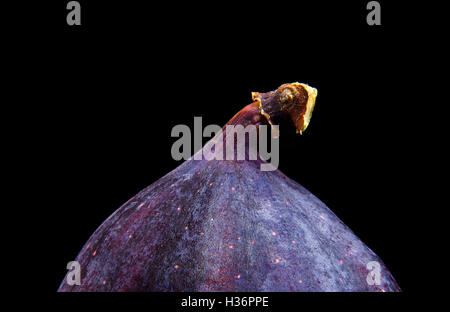 Detail of isolated fig on a black background Stock Photo
