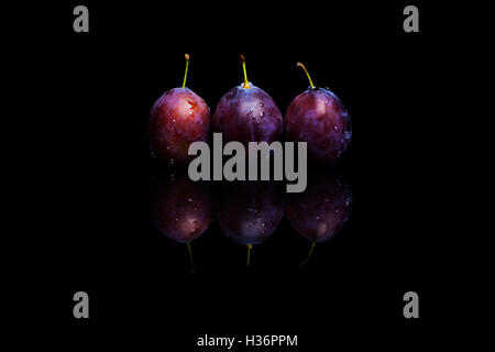 Three fresh blue plums on a black reflective background with water drops Stock Photo