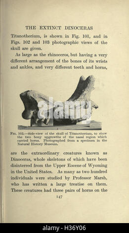 Map of extinct animals Stock Photo - Alamy