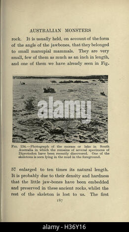 Map of extinct animals Stock Photo - Alamy