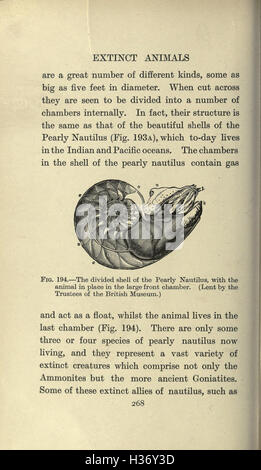 A detailed examination of extinct animal species, their classification ...