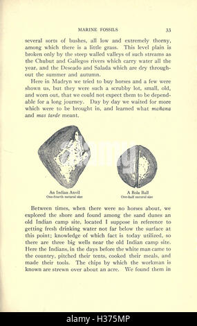 Hunting extinct animals in the Patagonian Pampas BHL205 Stock Photo