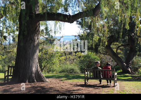 Visitors relaxing at the Botanical Garden of Huntington Library and Botanical Garden.San Marino.California.USA Stock Photo