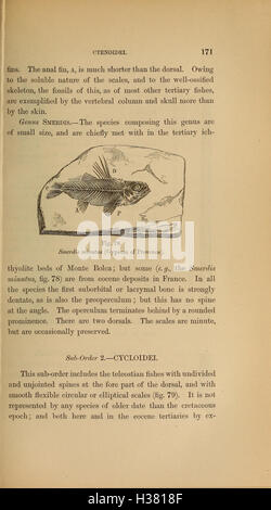 This work offers a systematic overview of extinct animals and their ...
