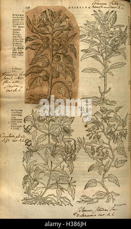 A detailed exploration of botany and plant classification, with ...