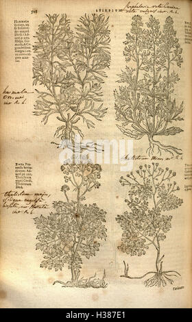A detailed study of botany, covering various plant species, their ...