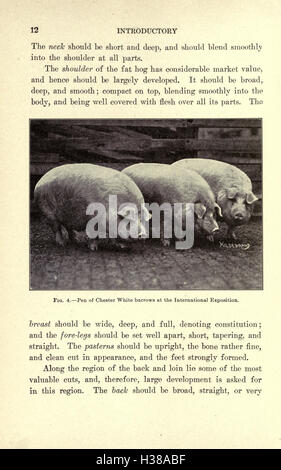 A comprehensive guide to productive swine husbandry, focusing on the ...