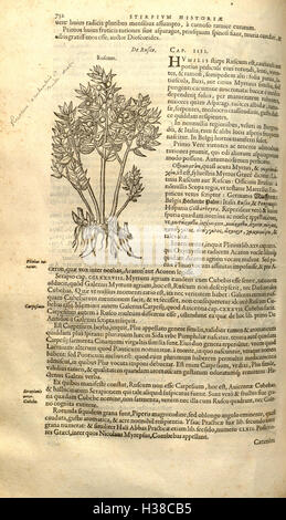 This work by Rembert Dodoens explores the history of plants, with ...