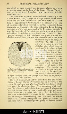 This work offers a comprehensive history of the development of human ...