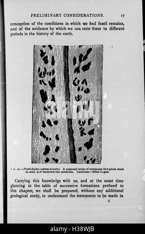 The chain of life in geological time BHL266 Stock Photo