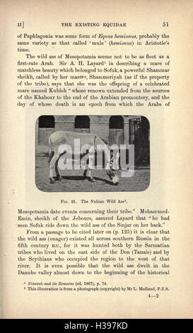 This historical work examines the origins and development of human ...