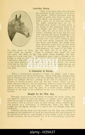 This work tells the story of Beautiful Jim Key, a famous performing ...