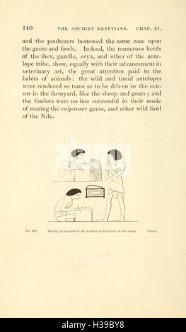 A second series of the Manners and customs of the ancient Egyptians (Page 140) BHL215 Stock Photo