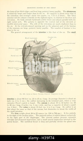 Veterinary Structure This textbook provides a detailed overview of veterinary anatomy ...