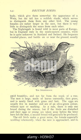 'British Birds for Cages and Aviaries' provides insights into various ...