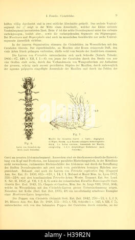 Die Käfer von Mitteleuropa (Page 9) BHL93 Stock Photo