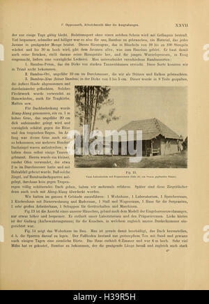 Trinil Java A geological and paleontological study of the Pithecanthropus layers on ...