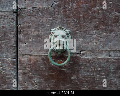 lion's head medieval door knocker on old wooden door Stock Photo